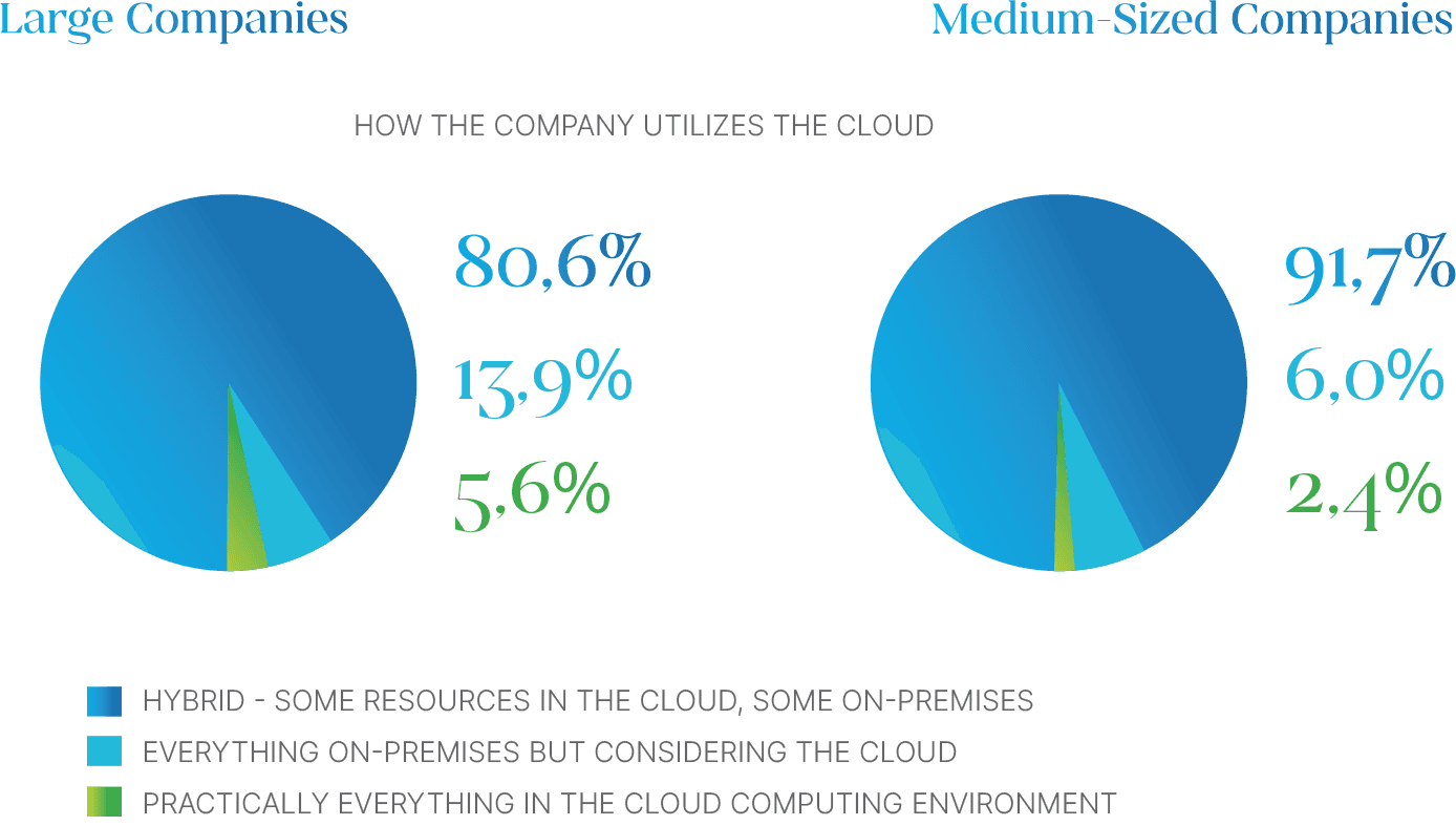 charts comparing large and medium-sized enterprises